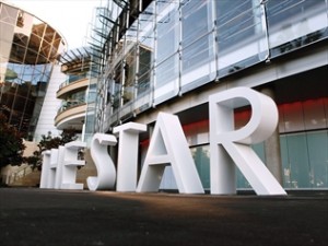star casino