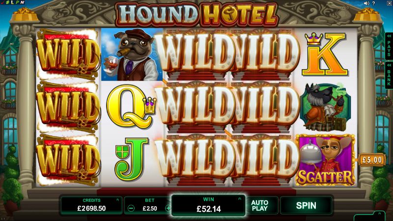 Hound Hotel Pokies Machines